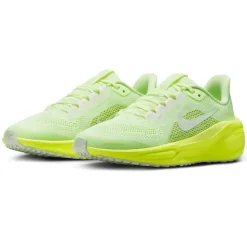 Nike Pegasus 41 Junior Running Shoes - SU25